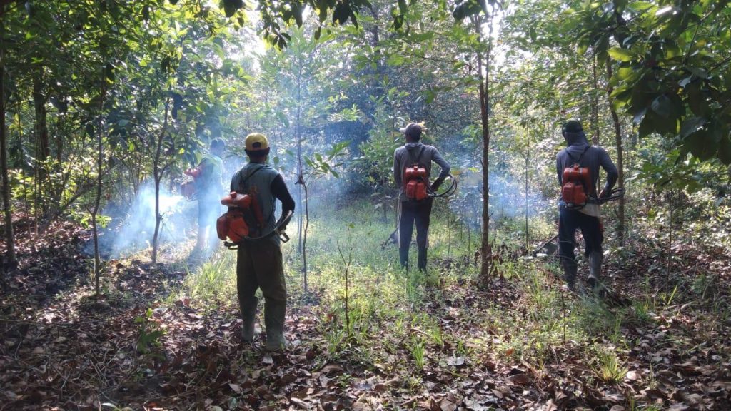 Menjamin Respon Cepat: Uji Coba Intensif Panic Button untuk Mitigasi Konflik Gajah